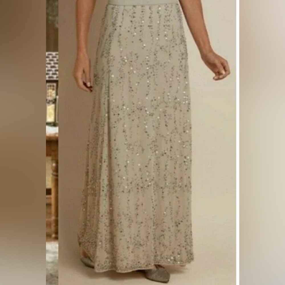 Soft surroundings Champagne Celebration Skirt New Without Tag Size 1X